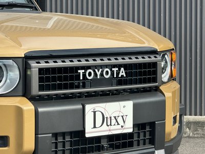 TOYOTA LAND CRUISER 250 - 10