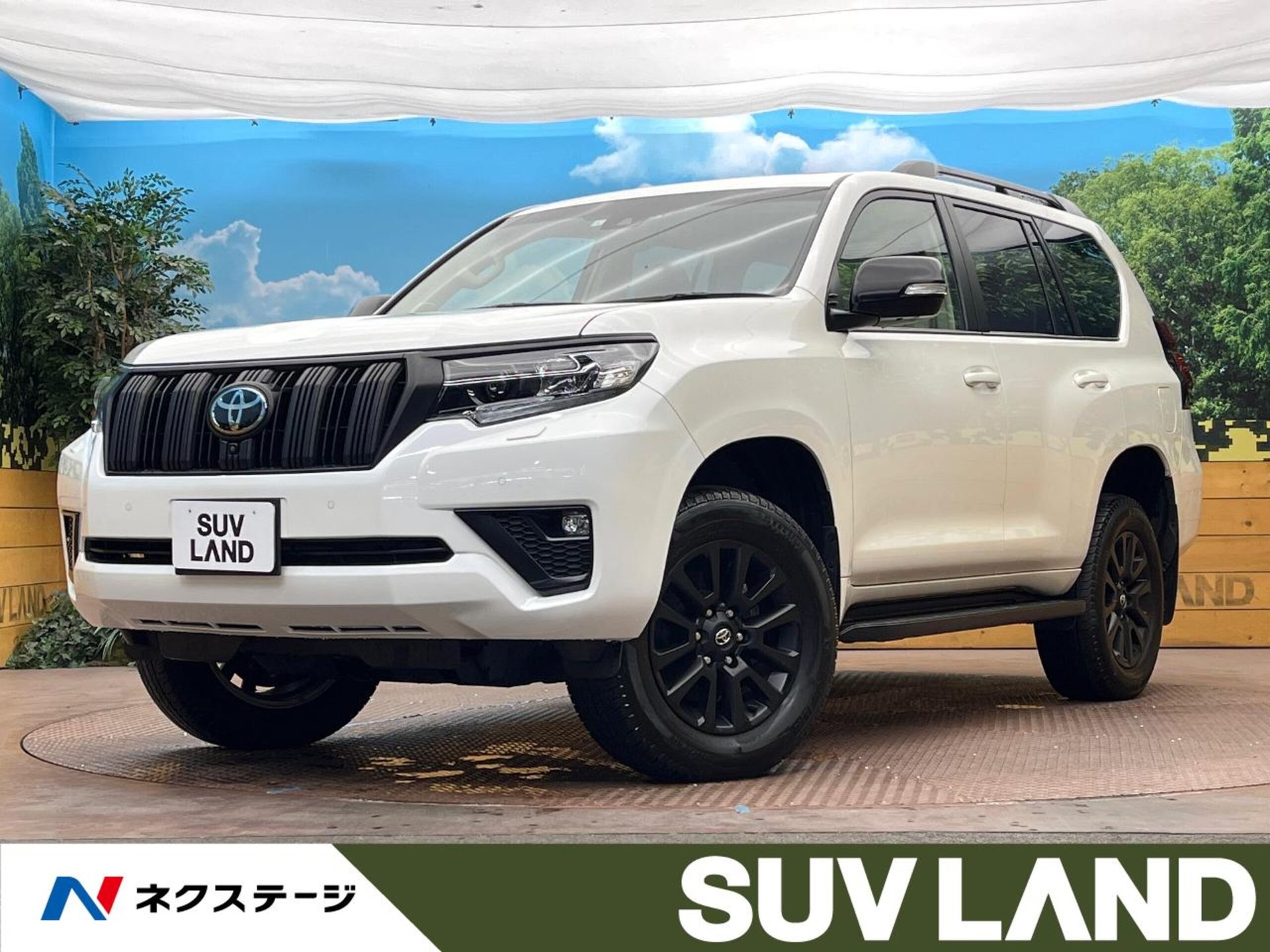 TOYOTA LAND CRUISER PRADO - View 1