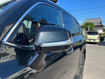 2025 Lexus LX — фото 10