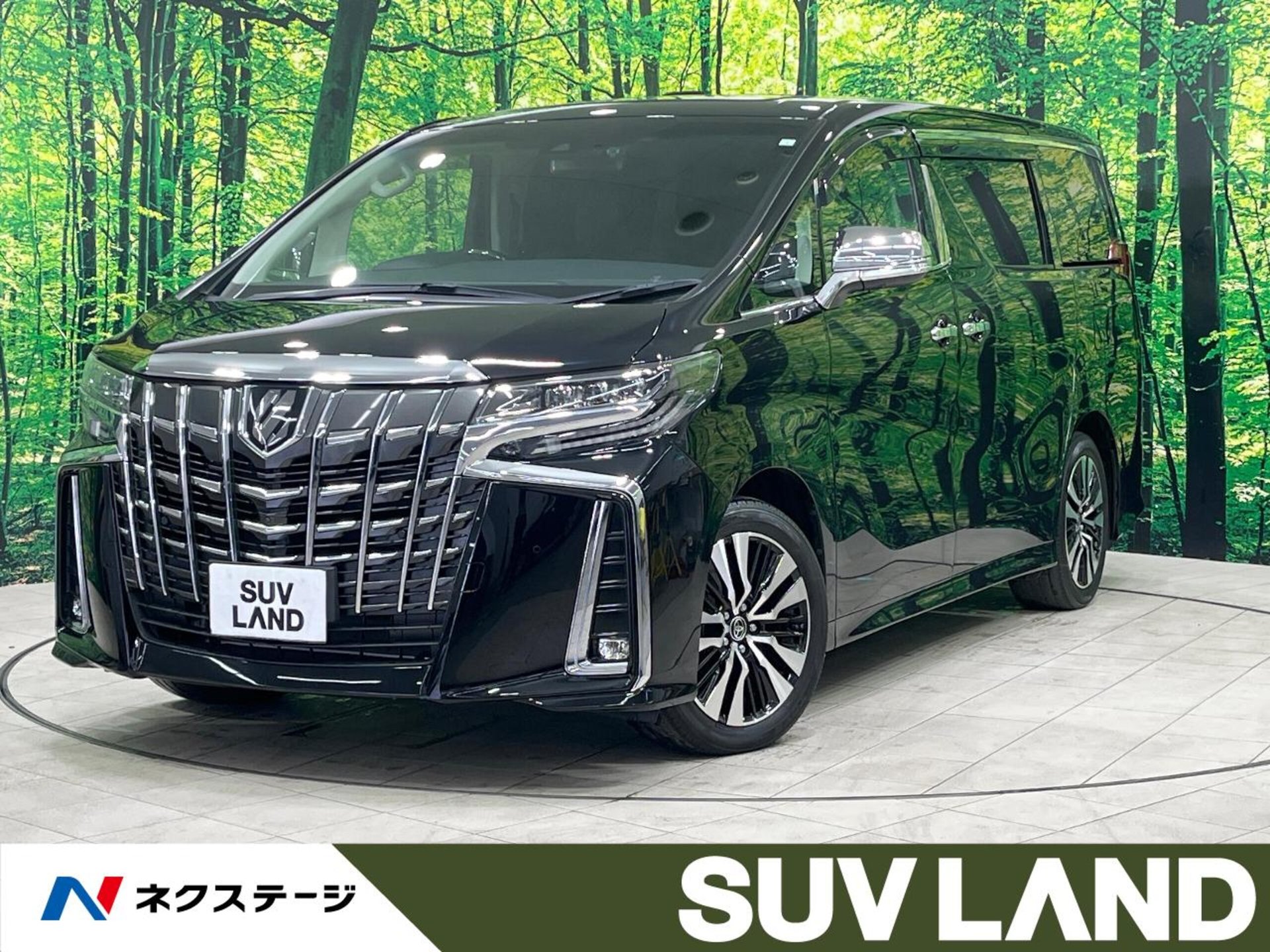 TOYOTA ALPHARD - View 1