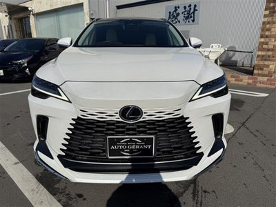 LEXUS RX - 6
