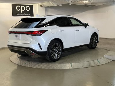 LEXUS RX - 8