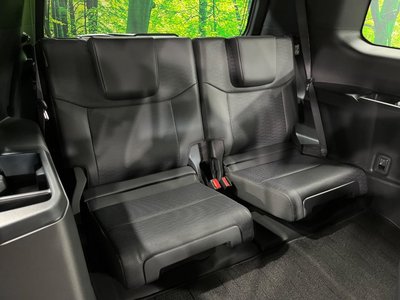 2024 Toyota LAND CRUISER 250 photo 10