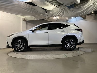 LEXUS NX - 4