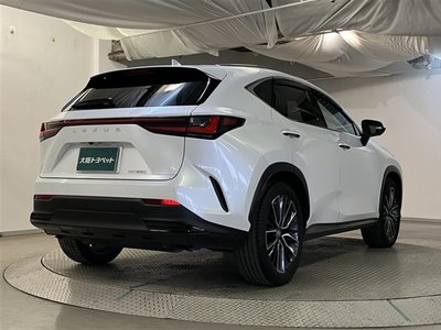 LEXUS NX - 8