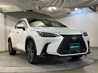 LEXUS NX - 3