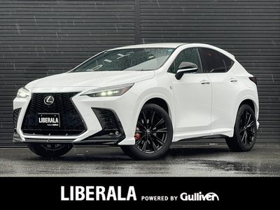 LEXUS NX - 1