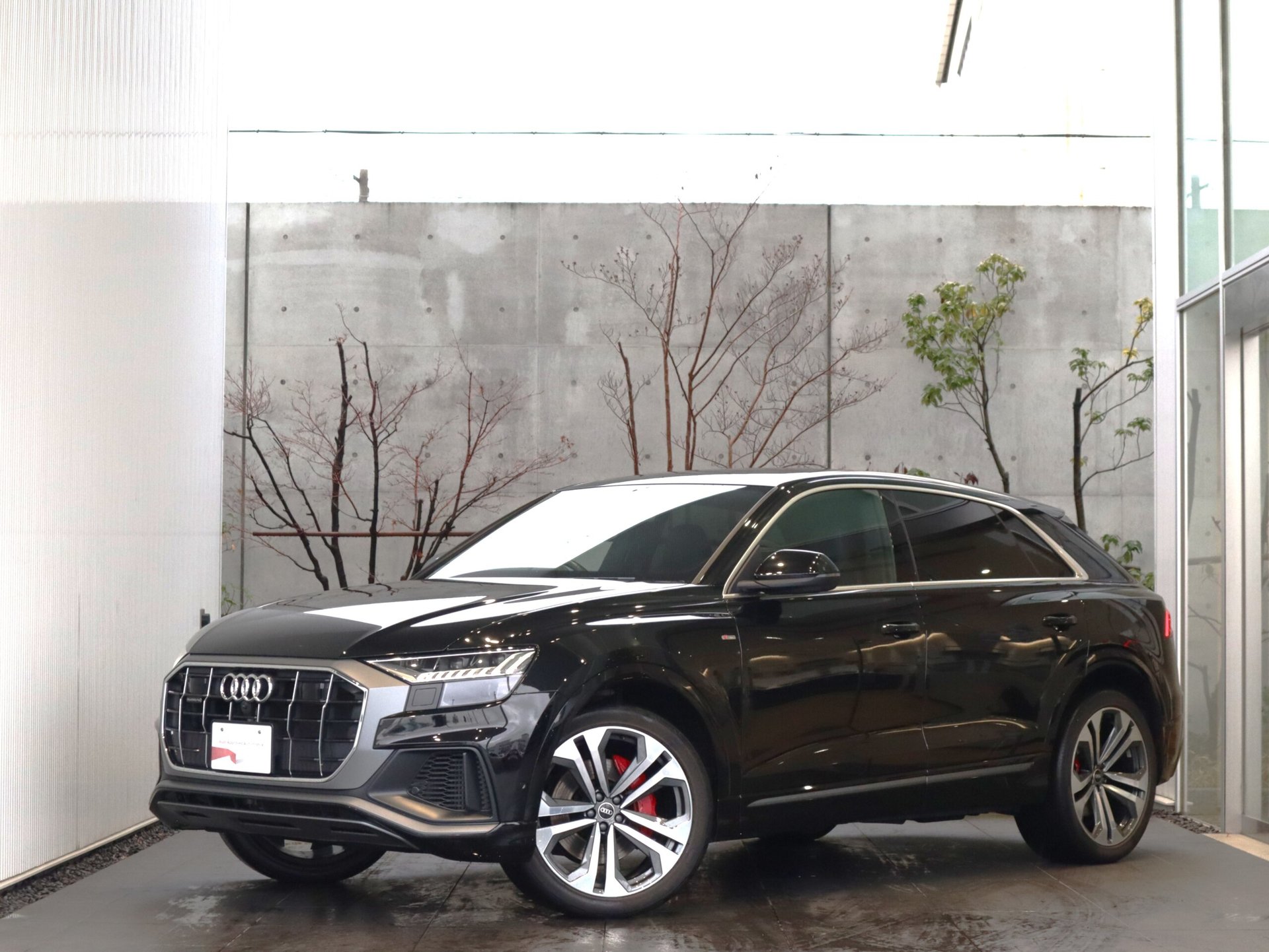 AUDI Q8 - View 1