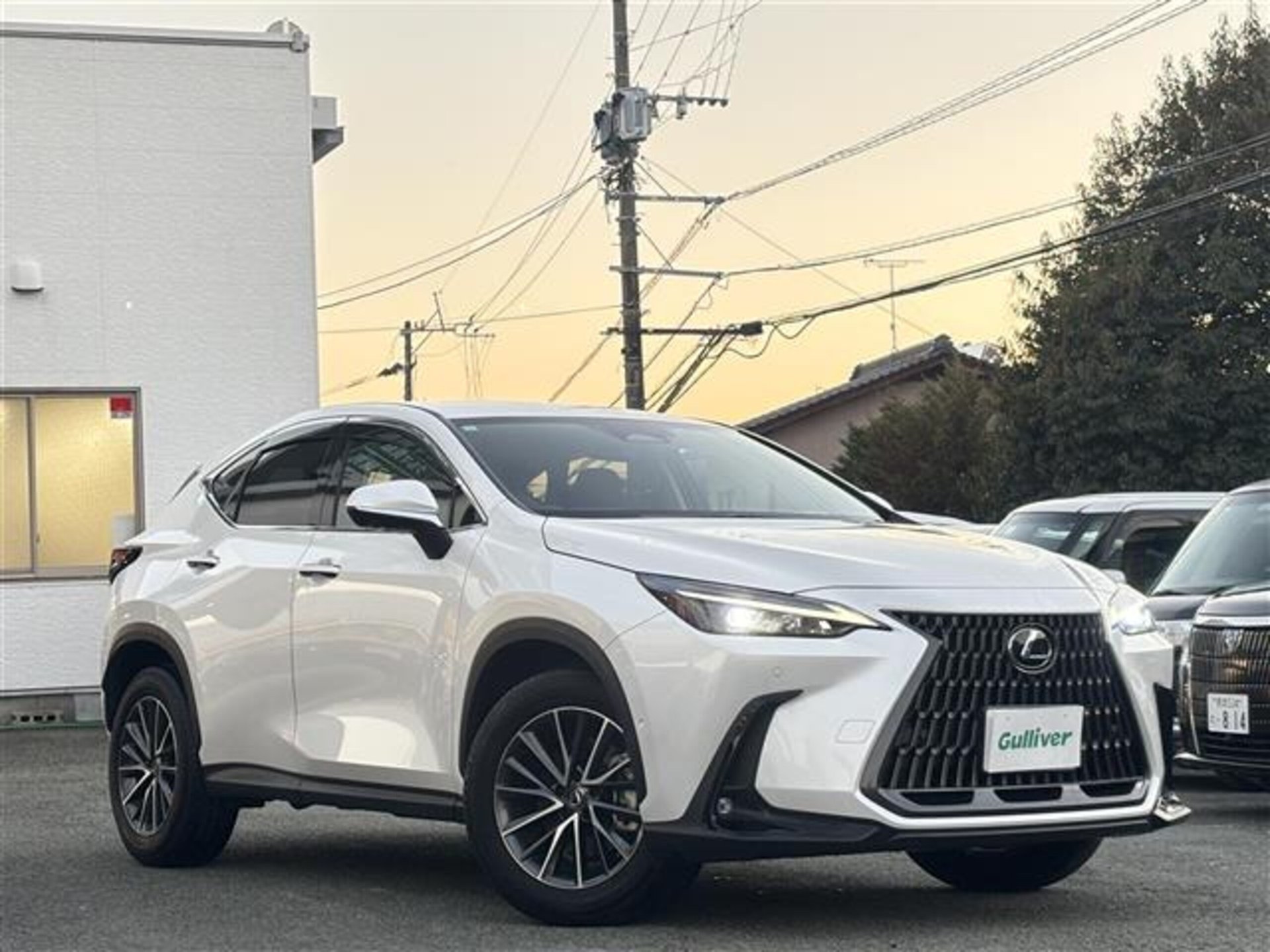 LEXUS NX - View 1