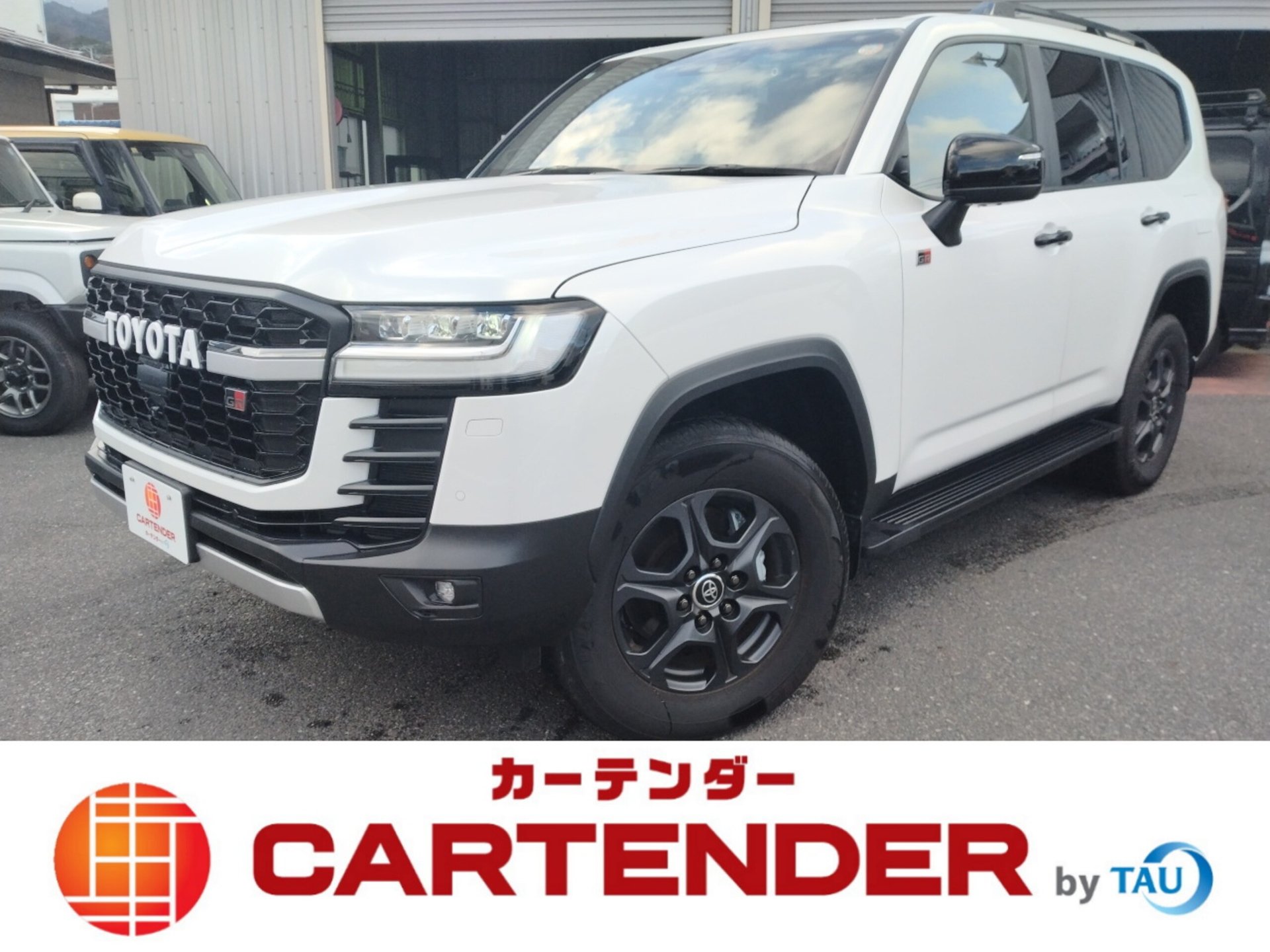 TOYOTA LAND CRUISER 300 - View 1