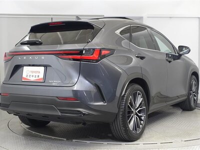 LEXUS NX - 3
