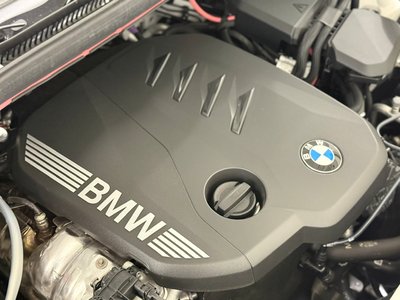 صورة مصغرة 71 لـ 2025 BMW X3