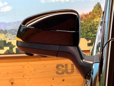 2025 Toyota ALPHARD — миниатюра 28