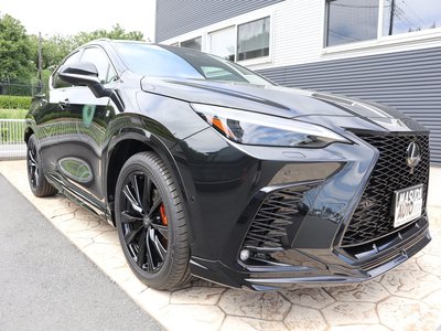 2024 Lexus NX 照片 3