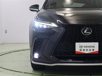 LEXUS NX - 10