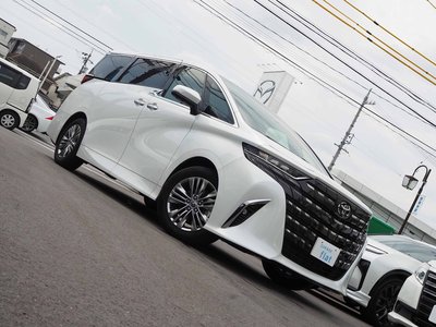 2024 Toyota ALPHARD 缩略图 11