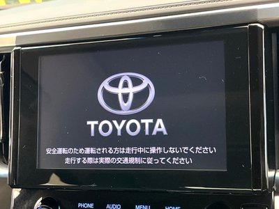 2023 Toyota ALPHARD 缩略图 28