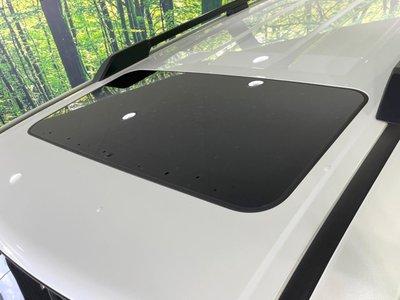 TOYOTA LAND CRUISER 250 - 3