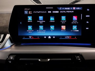 2025 BMW X2 缩略图 74