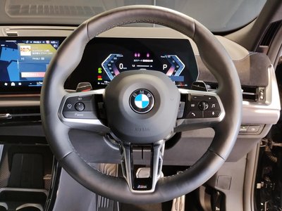 2025 BMW X2 缩略图 61