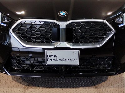 2025 BMW X2 缩略图 29