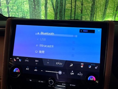 صورة مصغرة 61 لـ 2025 Toyota VELLFIRE