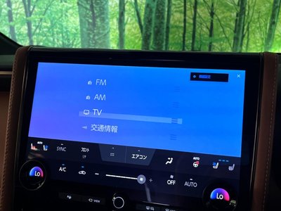 صورة مصغرة 60 لـ 2025 Toyota VELLFIRE
