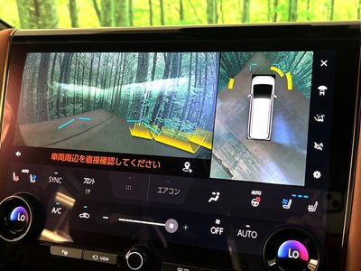 2025 Toyota VELLFIRE 照片 4