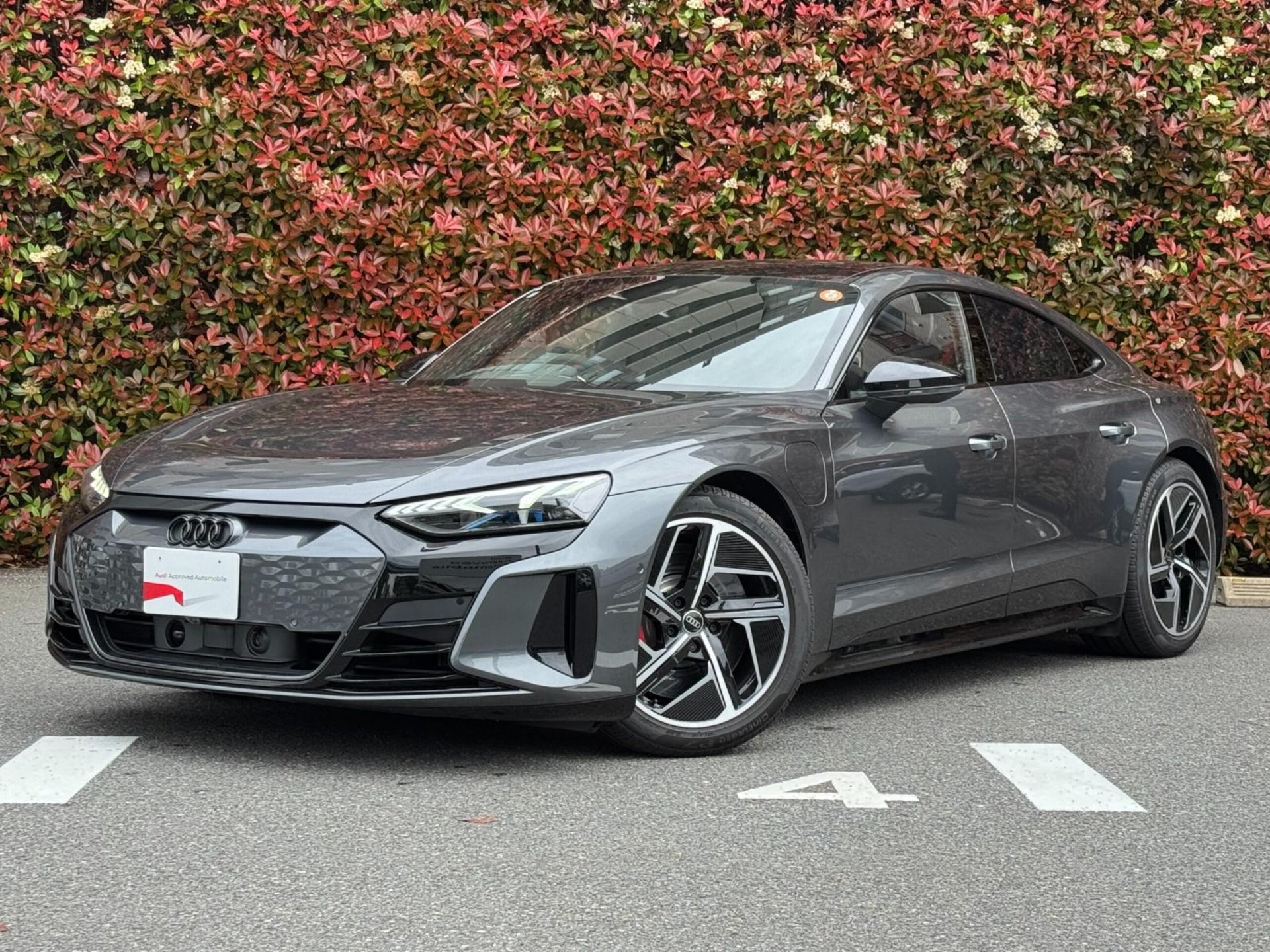 AUDI RS E-TRON GT - View 1
