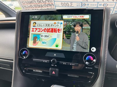 2025 Toyota ALPHARD 缩略图 21
