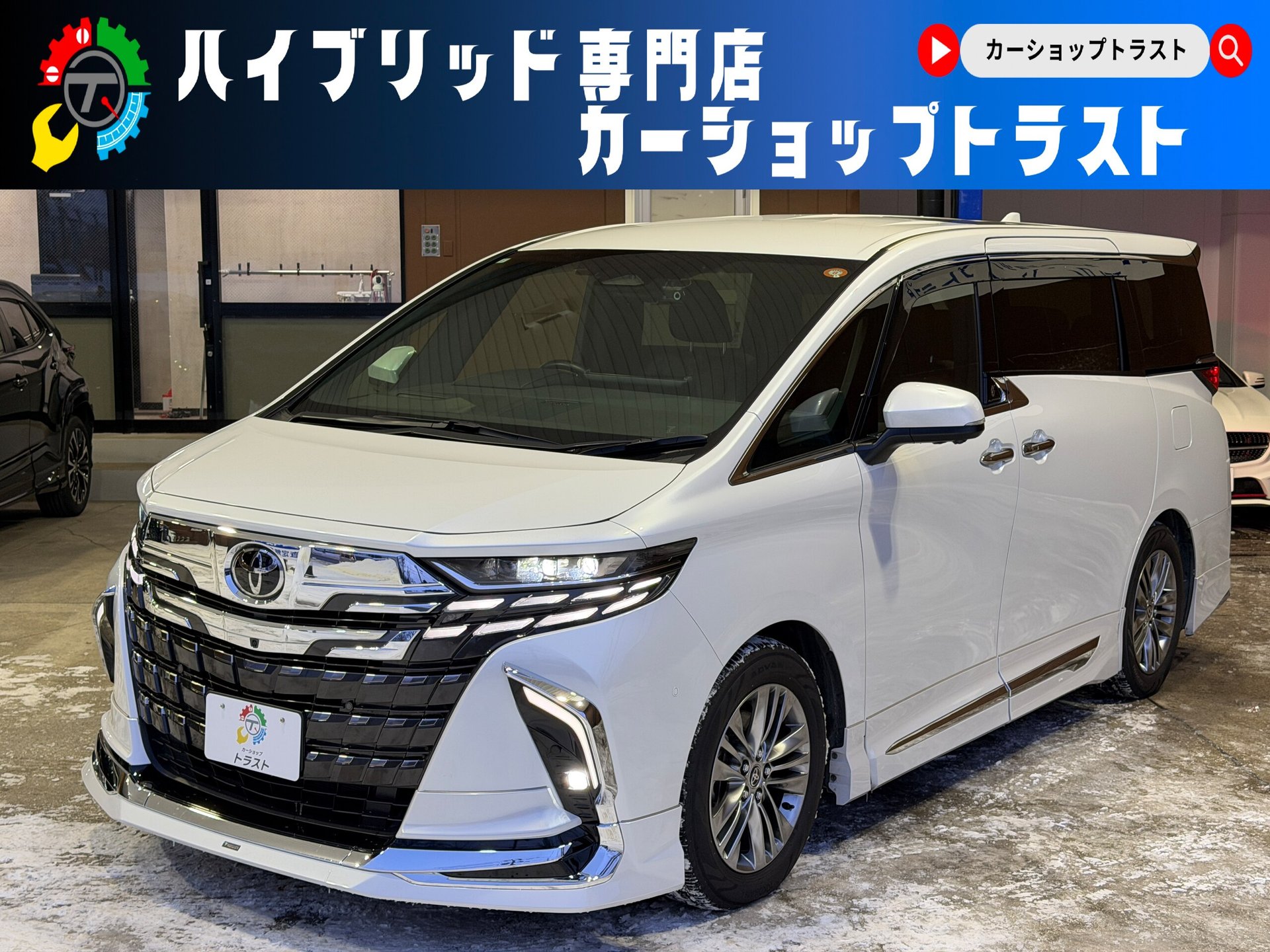 TOYOTA ALPHARD - View 1