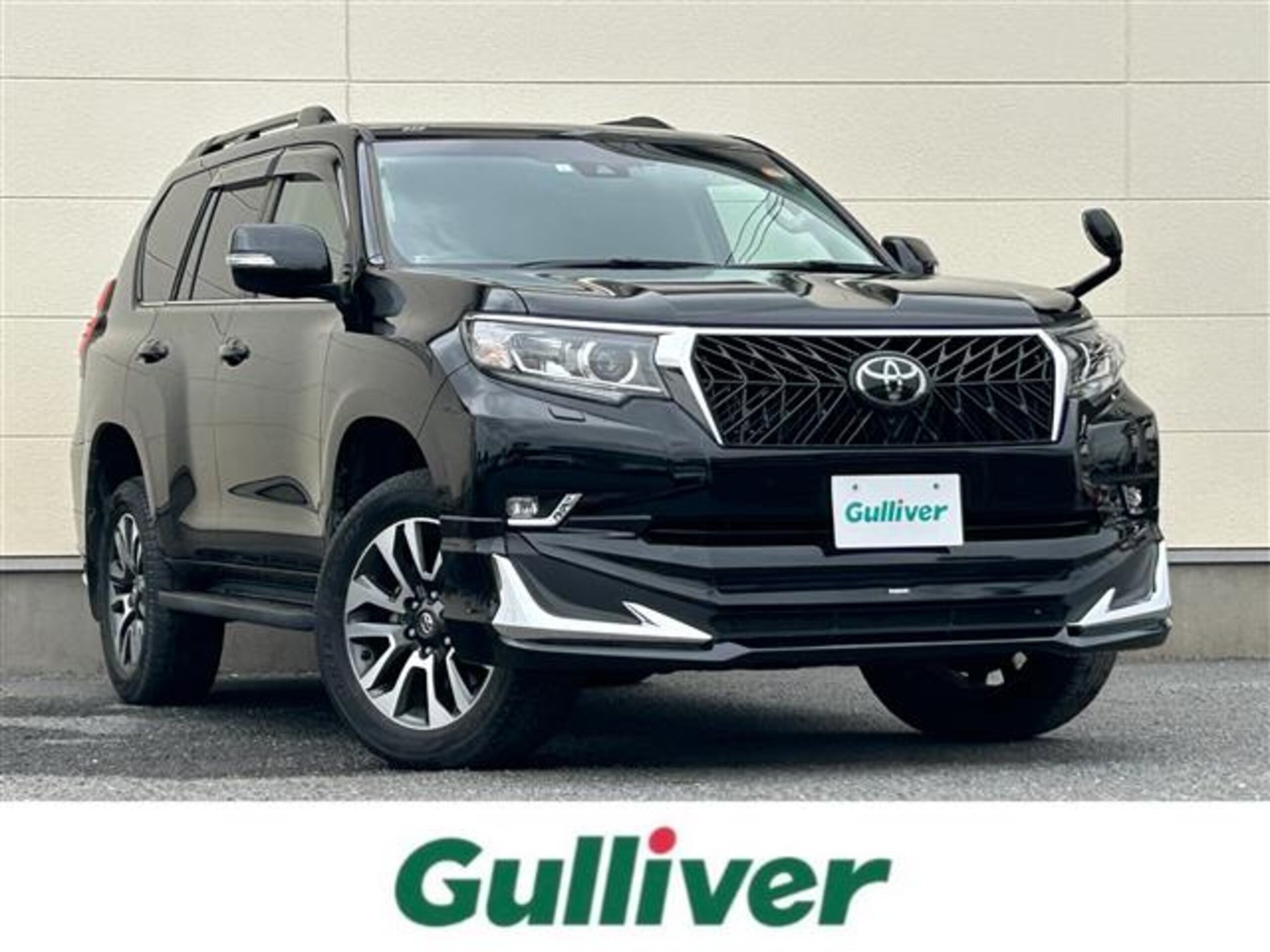 TOYOTA LAND CRUISER PRADO - View 1