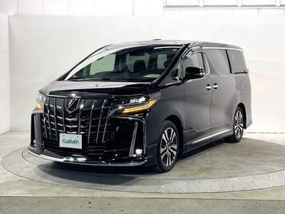 2023 Toyota ALPHARD 缩略图 19