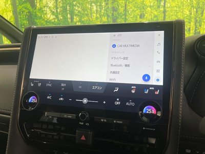 2024 Toyota ALPHARD 缩略图 52