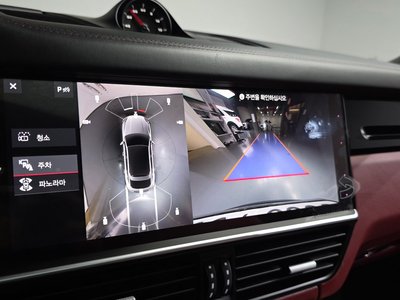 2020 Porsche CAYENNE 缩略图 21