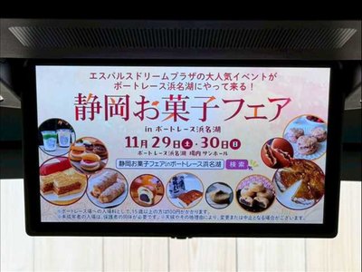 TOYOTA VELLFIRE - 10