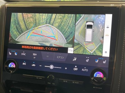 TOYOTA ALPHARD - 6