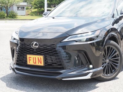 LEXUS RX - 8