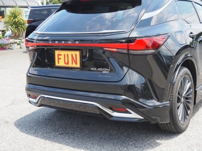 LEXUS RX - 10