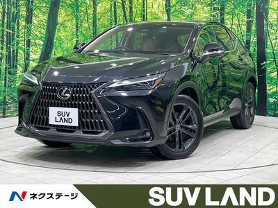 LEXUS NX - 1