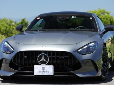 2024 Mercedes-BENZ GT AMG 缩略图 20