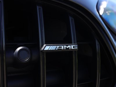 2024 Mercedes-BENZ GT AMG 缩略图 32