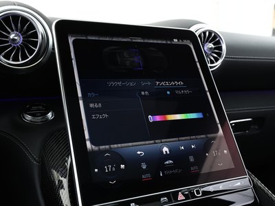 2024 Mercedes-BENZ GT AMG 缩略图 71