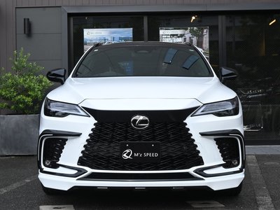 LEXUS RX - 6