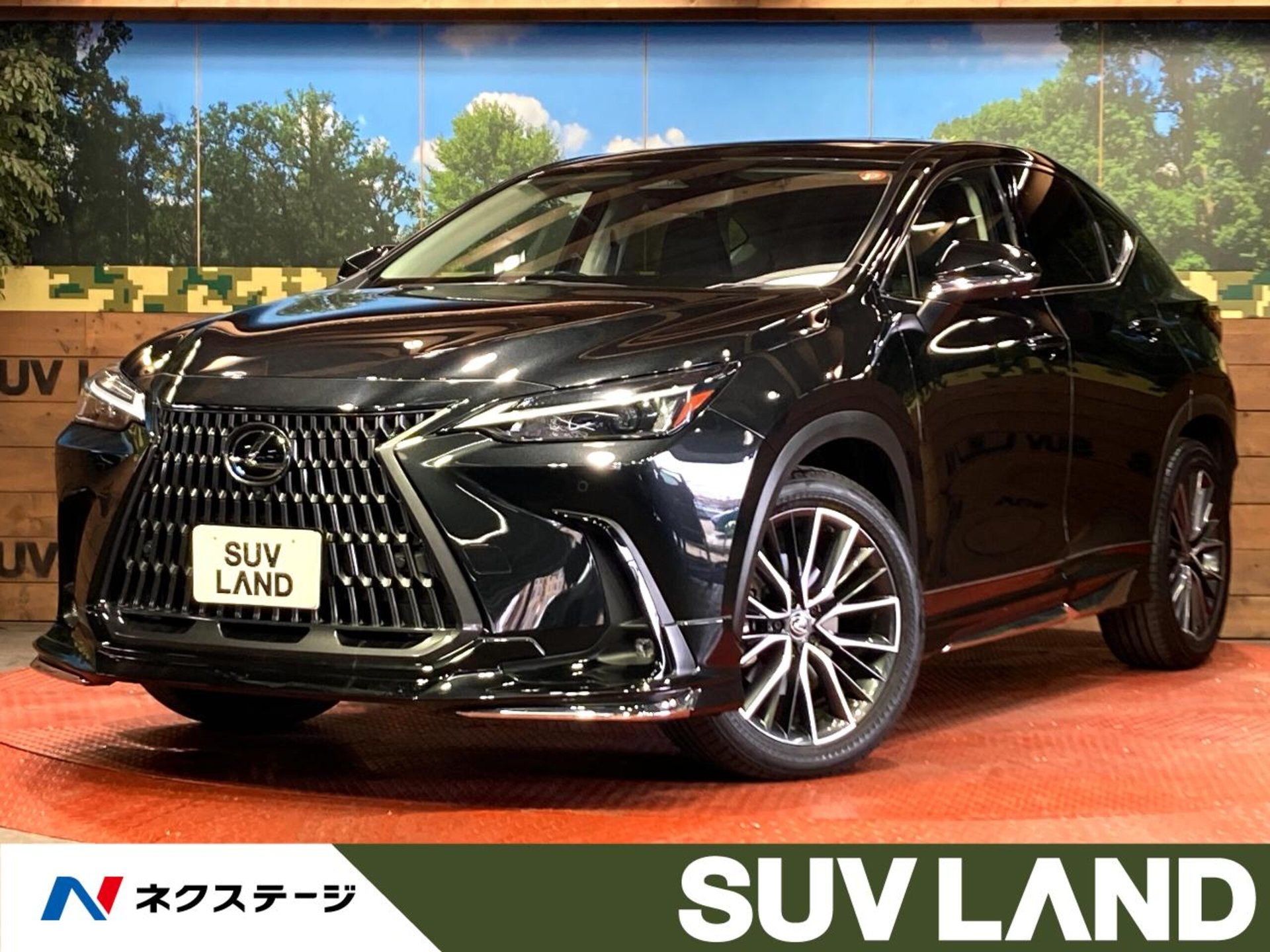 LEXUS NX - View 1