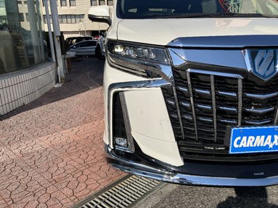 2022 Toyota ALPHARD thumbnail 15