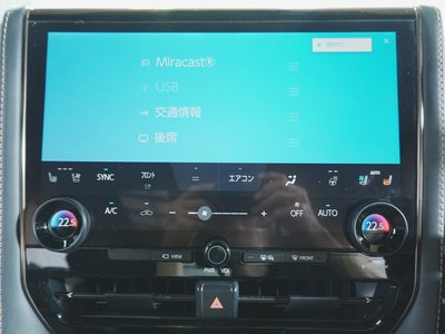 2024 TOYOTA ALPHARD 缩略图 30