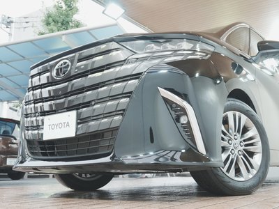 2024 TOYOTA ALPHARD 缩略图 64