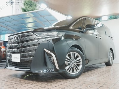 2024 TOYOTA ALPHARD 缩略图 78