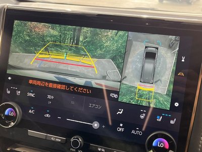 TOYOTA ALPHARD - 4